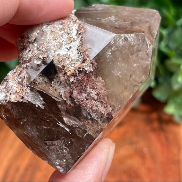 Garden Quartz Freeform | Lodolite Crystal| Scenic Quartz - Picture 5 of 14